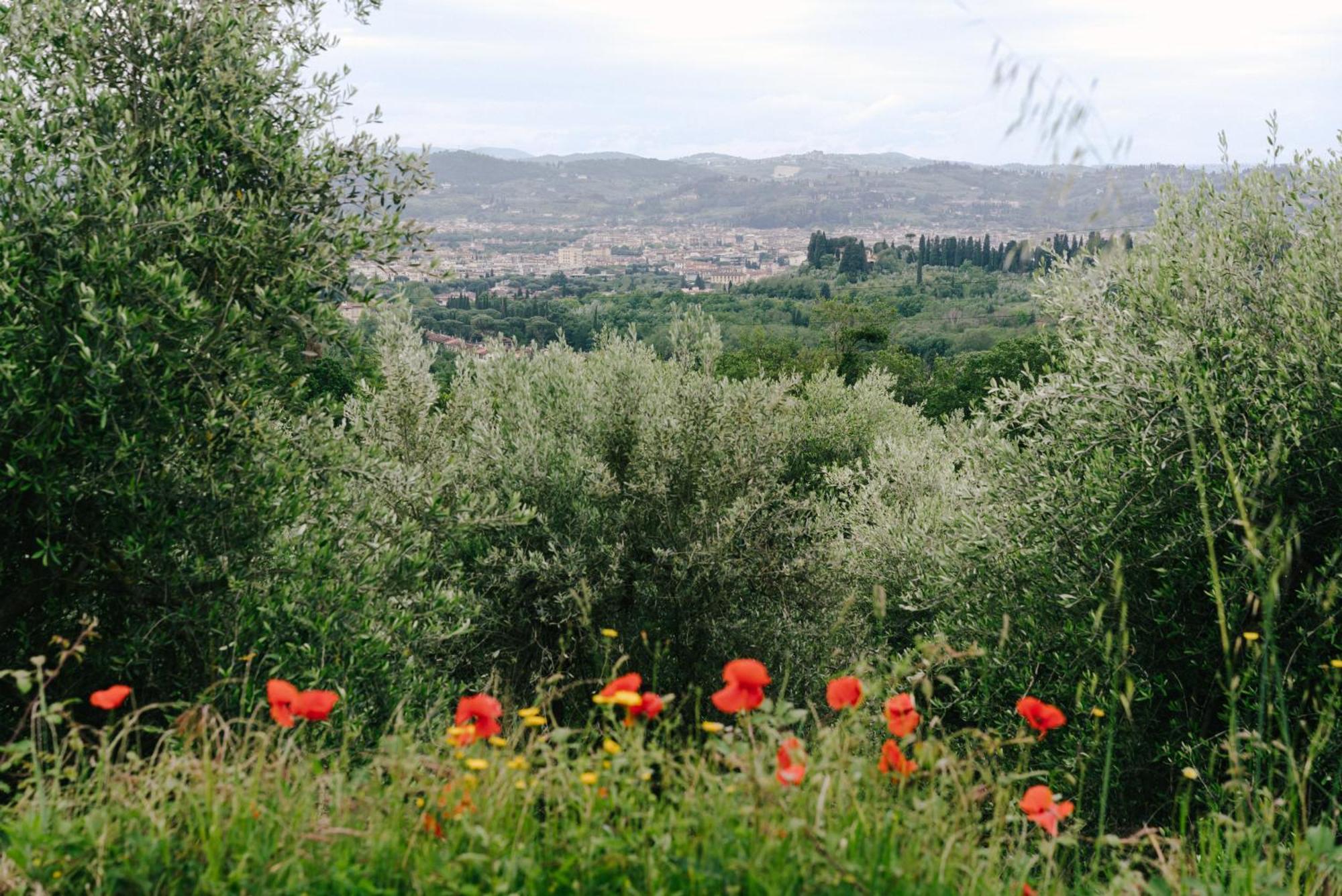 Pensione Bencista Fiesole Exteriör bild